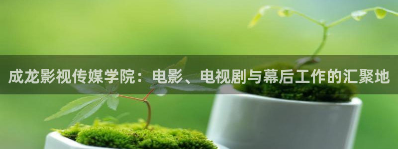 达达兔免费：成龙影视传媒学院：电影、电视剧与幕后工作的汇聚地