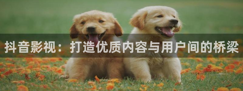 神马午夜达达兔影院：抖音影视：打造优质内容与用户间的桥梁