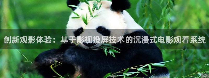 达达兔在线看电影：创新观影体验：基于影视投屏技术的沉浸式电影观看系统